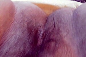 Intense Rimming of Hairy Mature MILF's Ass by Amateur