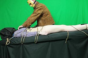 scarlett johnson fucked by jason vorheves, gagging on his cock