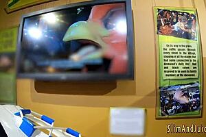 Blonde Bubblebutt Teen Rides Face And Cock Hardcore