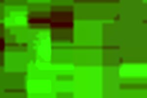 fellatio master devours big black dick