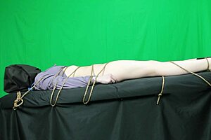 scarlett johnson fucked by jason vorheves, gagging on his cock