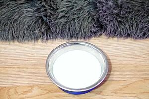 Bella La Seducción Hecha Gata