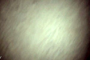 my dick in amateur ass scene