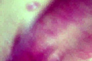 Amateur Escort Service In Action