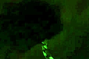 we could be caught but im too horny 😏