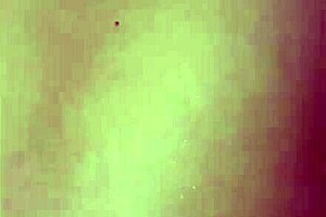 Surprising Discovery of Girlfriend in New York Streets