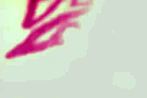 Thirdghost1 eating pussy like a pro