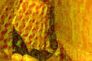 scopata con una amica di 24anni?