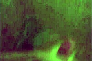 Cumshot Compilation There Are Many And Varied