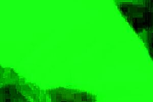 mature lady takes young cock