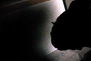 I spy on her in the toilet for some voyeur fun.