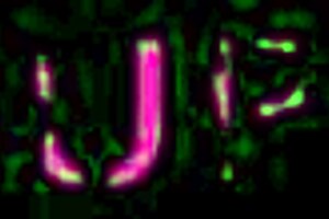 Tattooed Tits Brunette Babe From Inked Gurlz Gets Fucked In Elevator