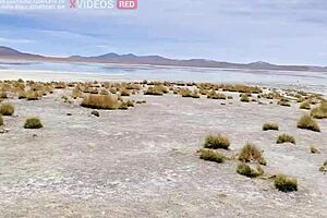 Vlog porno na bolivia com sexo explicito em publico - alemaohub