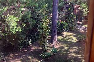 Amateur Milfs by Wifebucket - I Was Horny and Called Hubby for Quickie