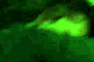 Milf bends over for interracial doggystyle at home.