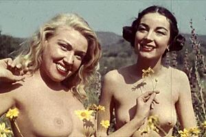 My Secret Life Top Twenty Vintage Naturists