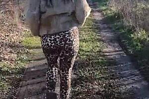 I would like to go shopping with you in the end i will be very grateful to you