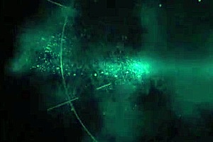 Pov Insatiable Social Star Frida Sante Milks a Pecker in the Backyard!