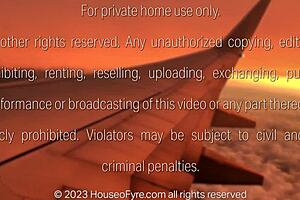 picked up hitchhiker dee williams fucks biggest fan