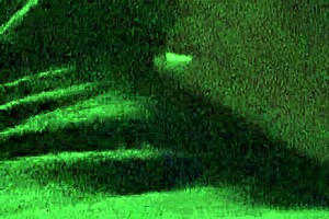 stranger says, 'want me to suck your dick after picking you up on the road?'