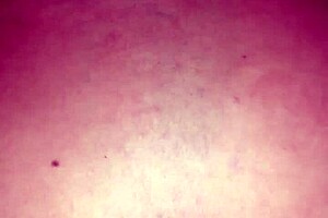 Neighbor 3: Big Cock Cumshot.