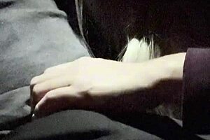 stranger says, 'want me to suck your dick after picking you up on the road?'