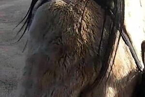 I would like to go shopping with you in the end i will be very grateful to you