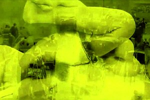 Vintage Art Teases Hairy Beaver Erotically