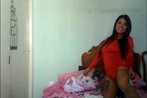 Kitty diabla 2 performance