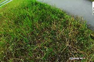 Slut Babe Harleenvan Hnyten Loves Getting Fucked In Public Stevenshame Dating