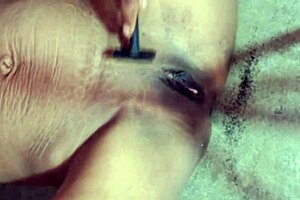 big boss fucking bast employees at office, spitting on alone girl