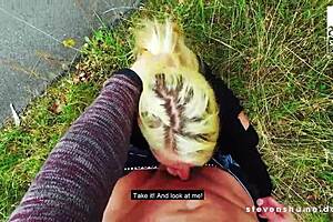 Slut Babe Harleenvan Hnyten Loves Getting Fucked In Public Stevenshame Dating