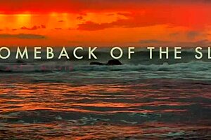 dominatrix mistress april comeback of the sexy slut