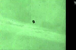 Vintage Art Teases Hairy Beaver Erotically