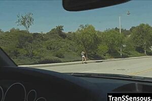 Hitchhiker is a tranny, he says.