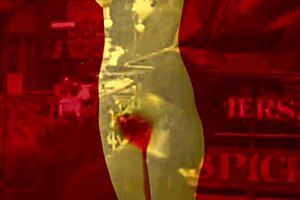 Vintage Art Teases Hairy Beaver Erotically