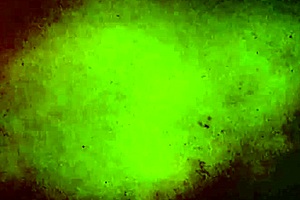 BDSM Guide: Catching the Essence of Every Session