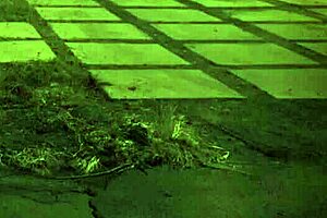 Fucked Outdoors Unless You're From The Sixties And Dig That Earth Milf