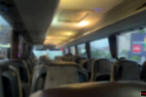 Public Dick Flashing On Bus, Beautiful Girl Helps Me Cum With Handjob