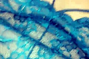 Cojiendo a mi amante casada y puta