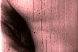 Vintage Art Teases Hairy Beaver Erotically