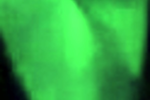 casada põe na cabeça da puta