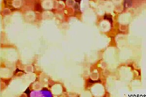 Erotic Game Loop From Xvideos Mr Matusalem Remix