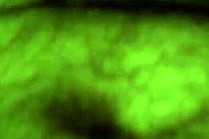 Curly Girl Sucking On Candy In Hidden Camera