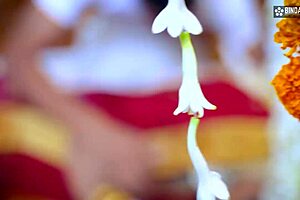 Curvy Bride Blindfolded And Fucked In Full Movie