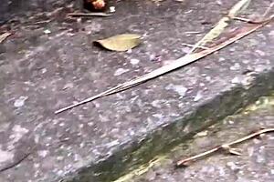 Patricinha with pink pussy climbs hill horny for sex