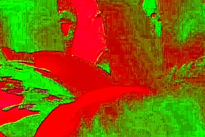 Homemade Couple Shares Intimate Moments in Bedroom