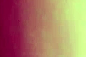 fucking with my partner at the adult store