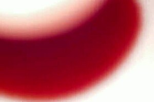 como le encanta gemir a esta casada infiel parte 1