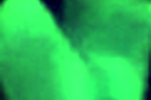 casada põe na cabeça da puta